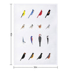 Common Backyard Birds of North America Lightweight Throw Blanket