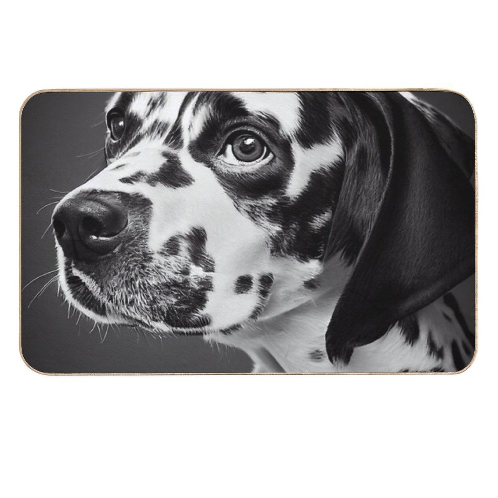 Dalmatian Dog  Easy Maintenance Bath Mat