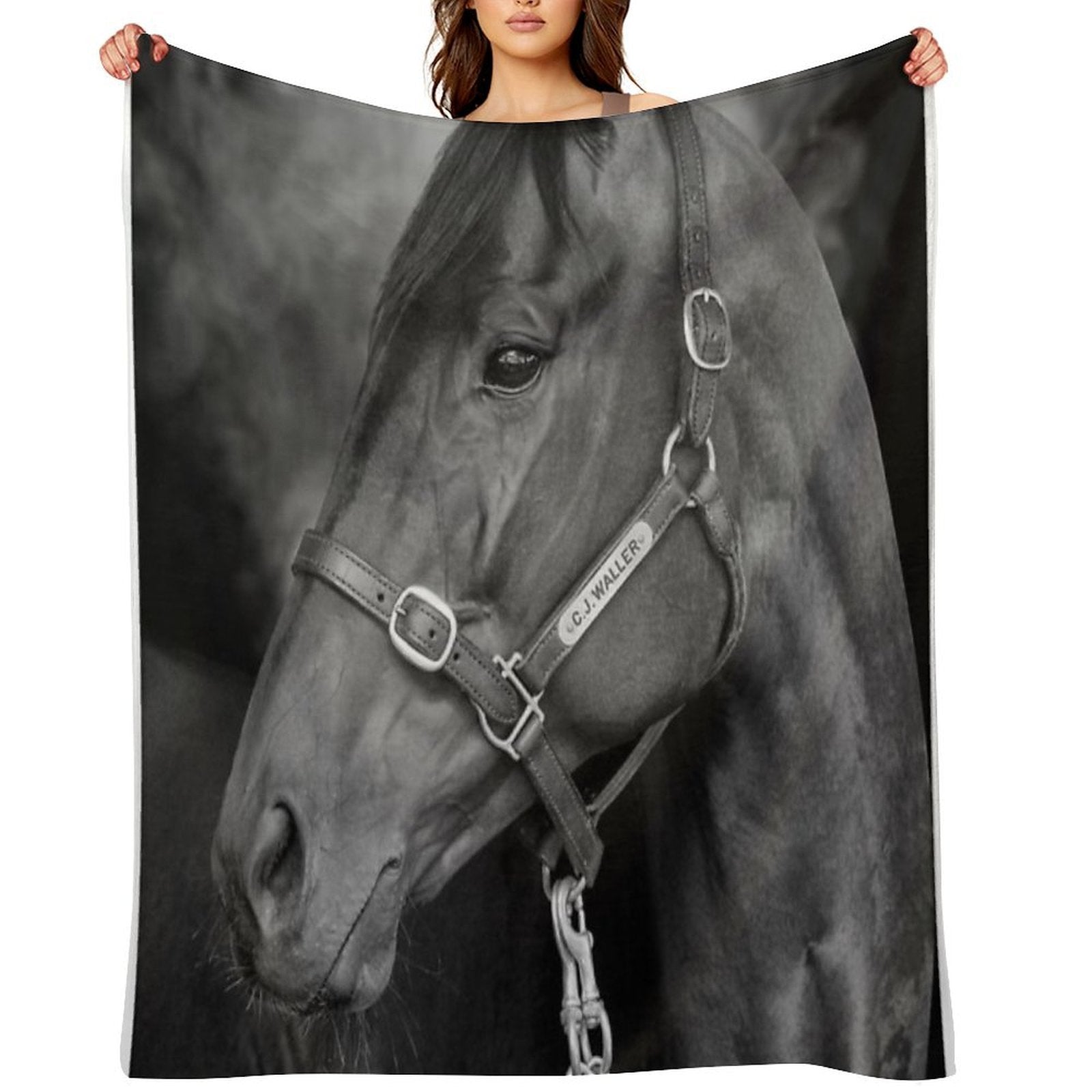 Winx - Farewell to A Champion Anti-pilling Throw Blanket