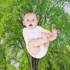 Large Elm Tree Machine-washable Throw Blanket