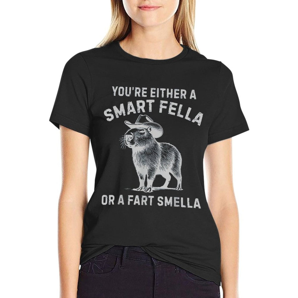 Youre Either A Smart Fella Or A Fart Smella Funny Sarcastic  Affordable Price T-Shirt