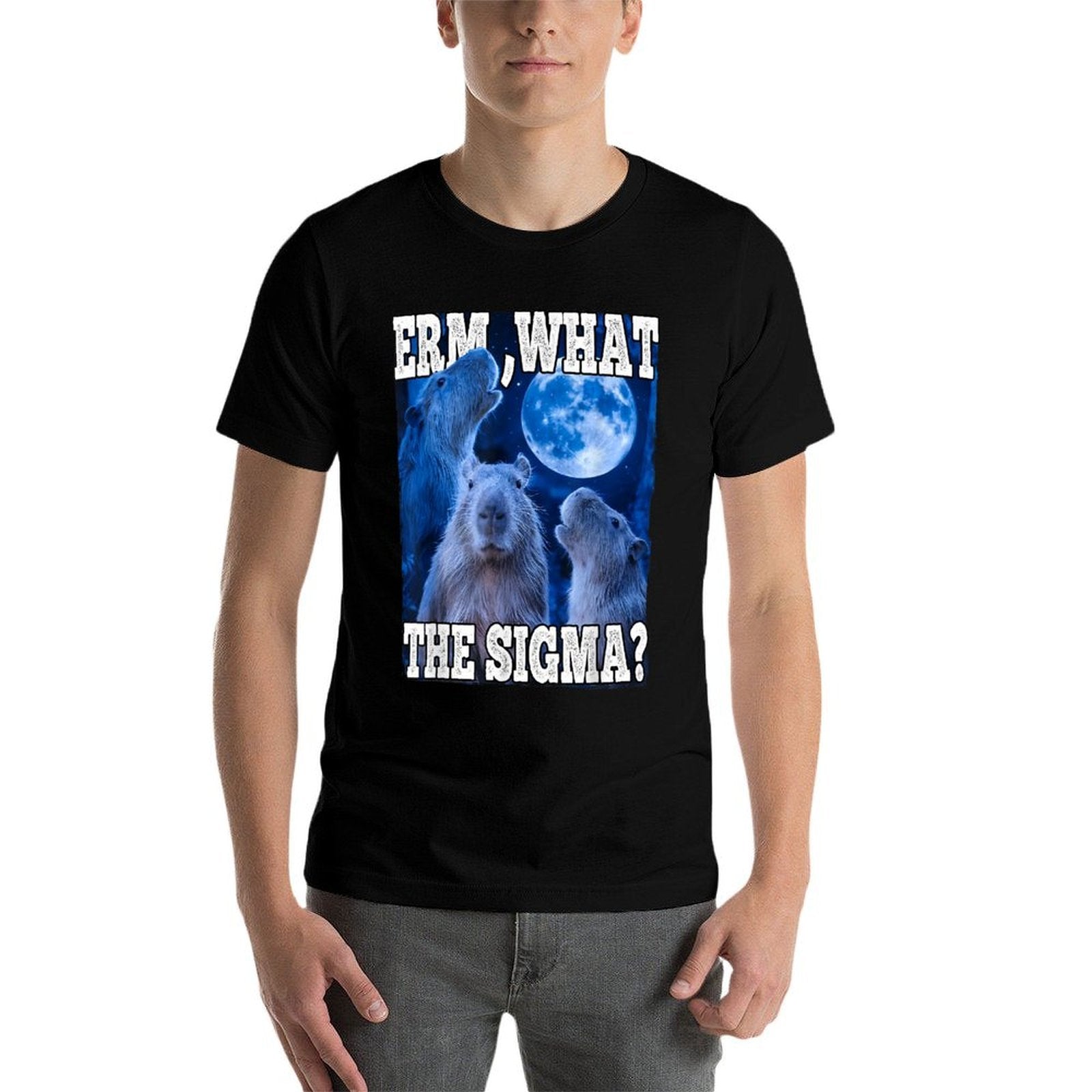 Erm What The Sigma Funny Capybara Meme  Lightweight T-Shirt
