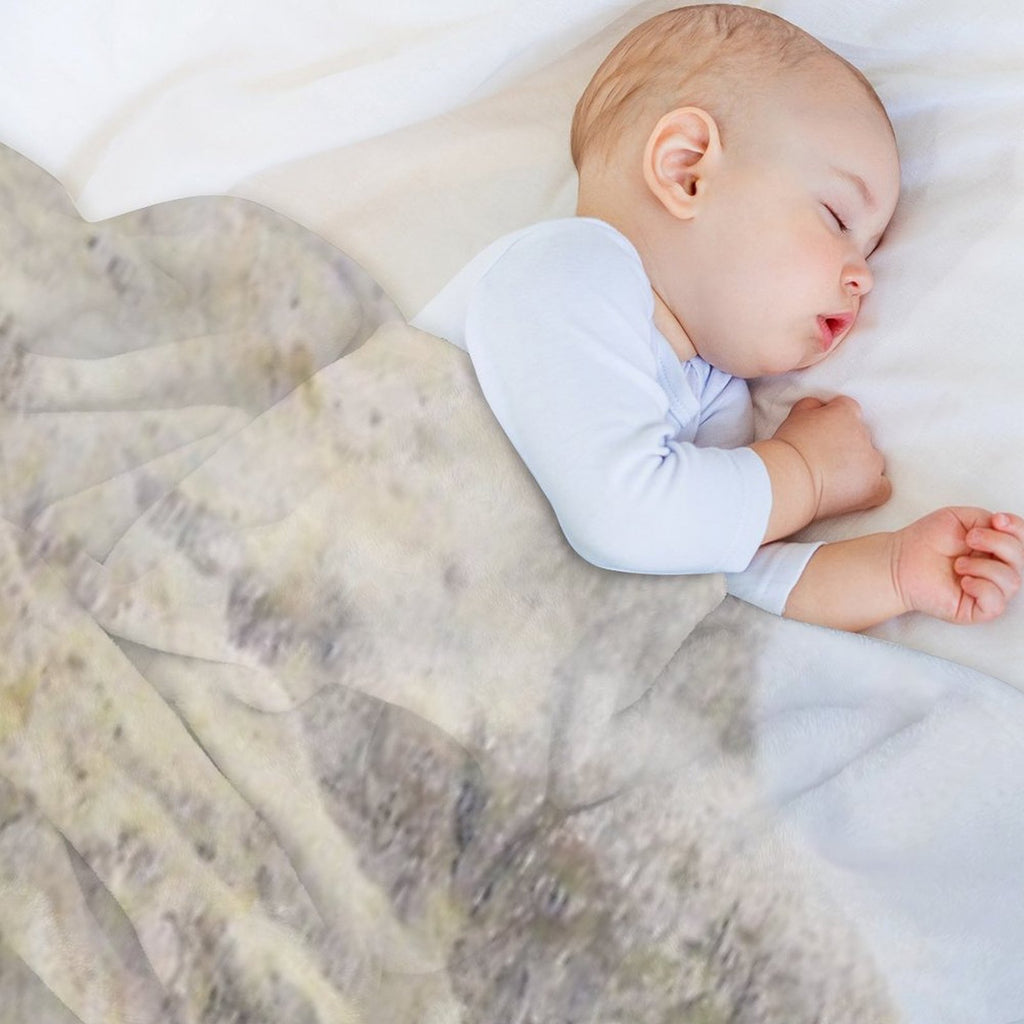 Herdwick Sheep Landscape Watercolour Photograph Shrink-resistant Throw Blanket