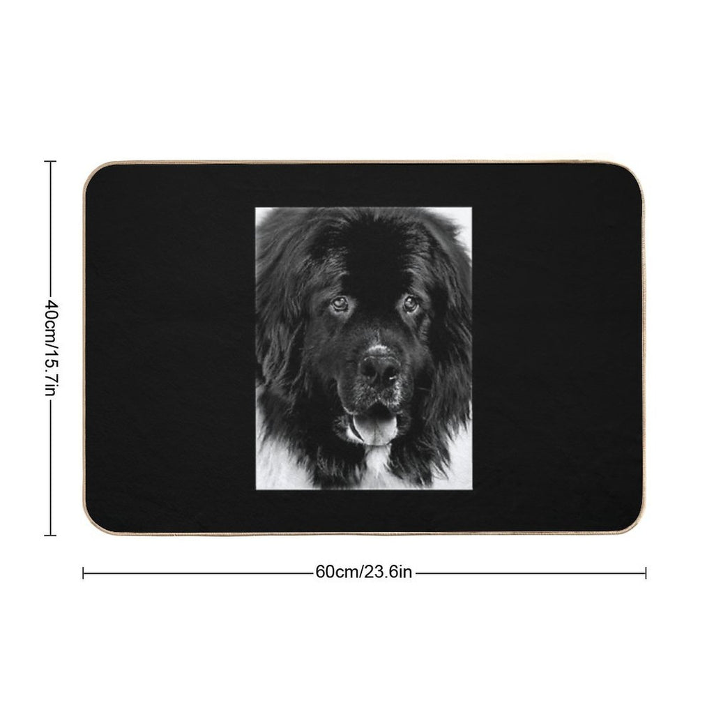 Newfoundland Dog Portrait in Black And White Durable Bath Mat