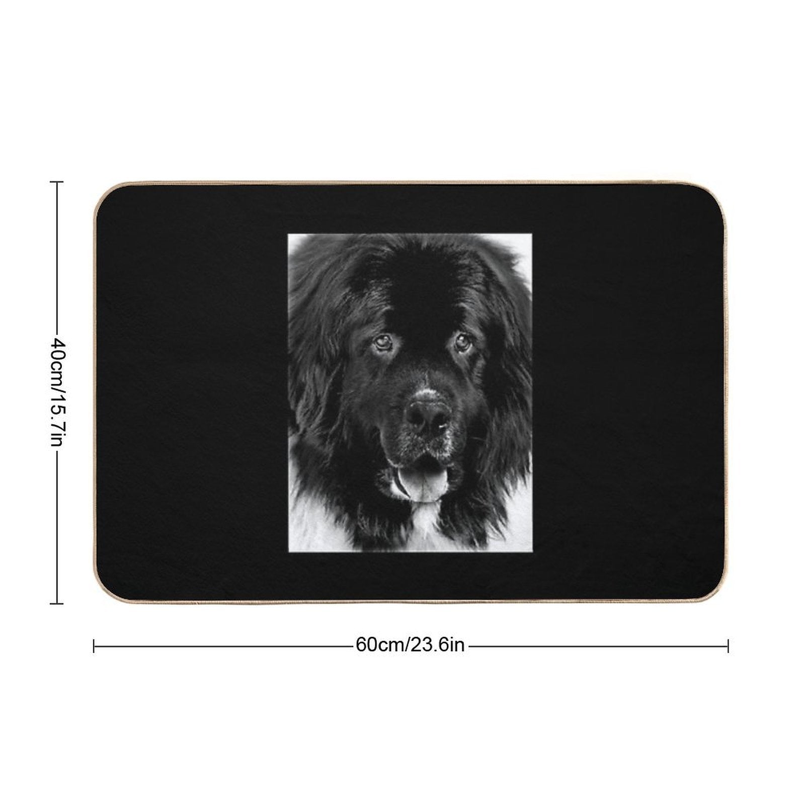 Newfoundland Dog Portrait in Black And White Durable Bath Mat