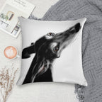 Always There II White Soft Fade-Resistant Throw Pillow