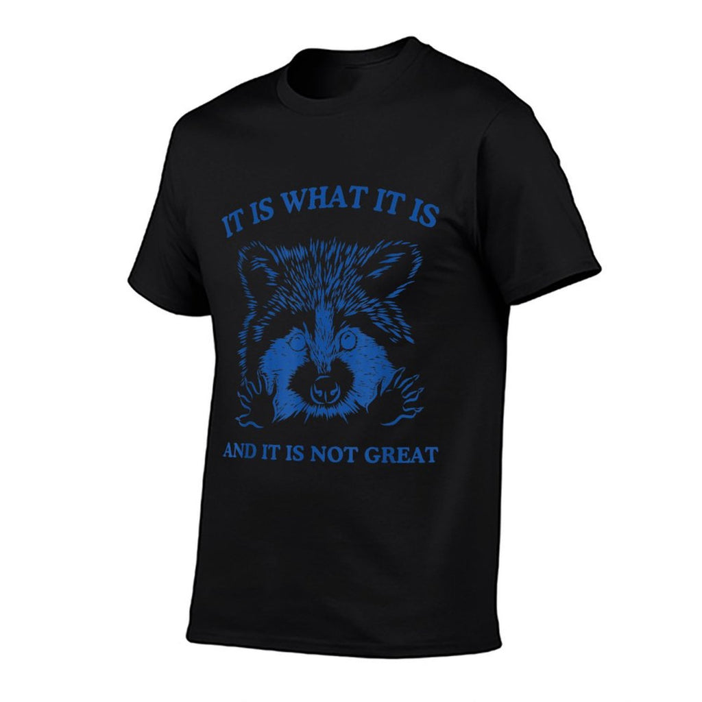 Raccoon, It Is What It Is And It Is Not Great Trash Raccoon Comfortable T-Shirt