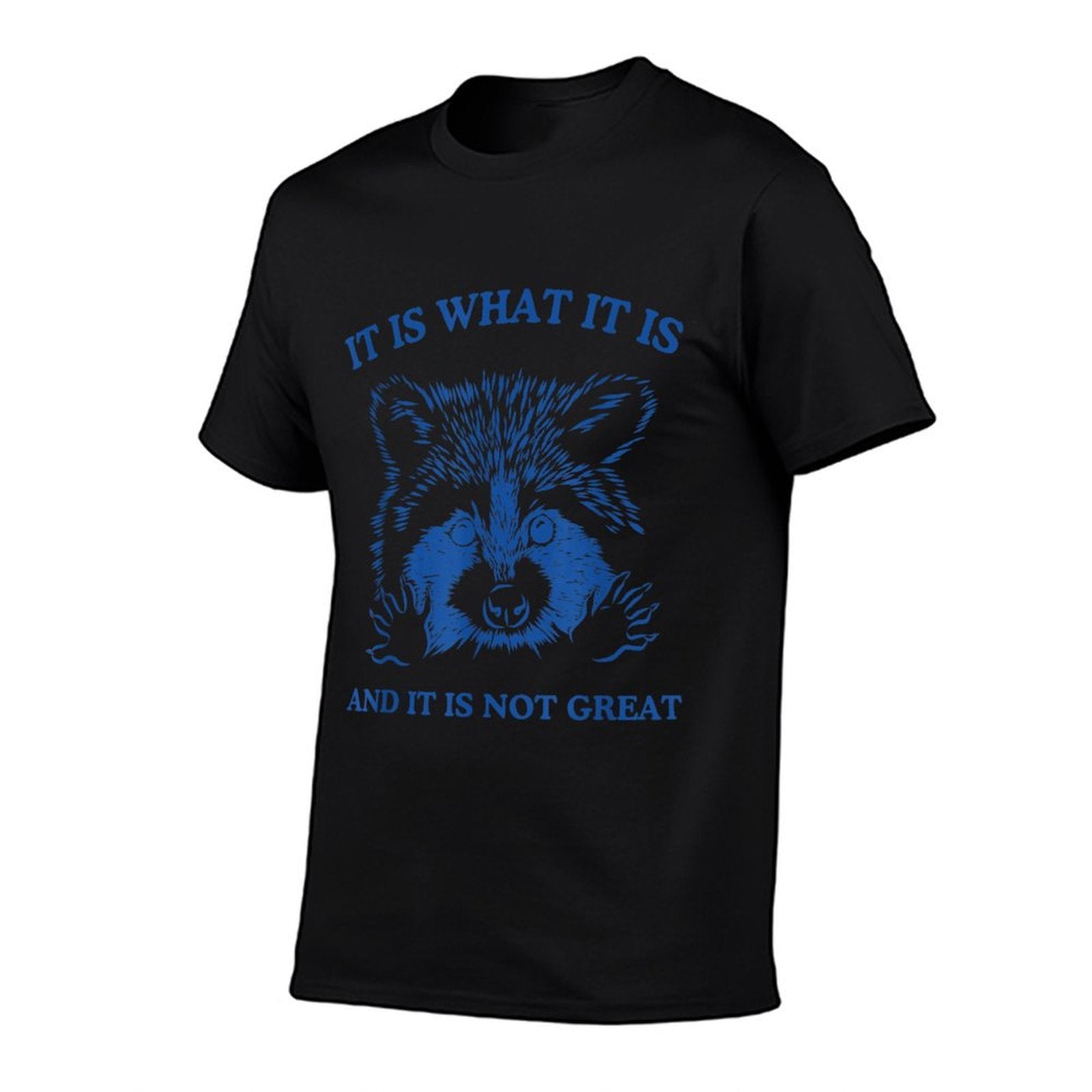 Raccoon, It Is What It Is And It Is Not Great Trash Raccoon Comfortable T-Shirt