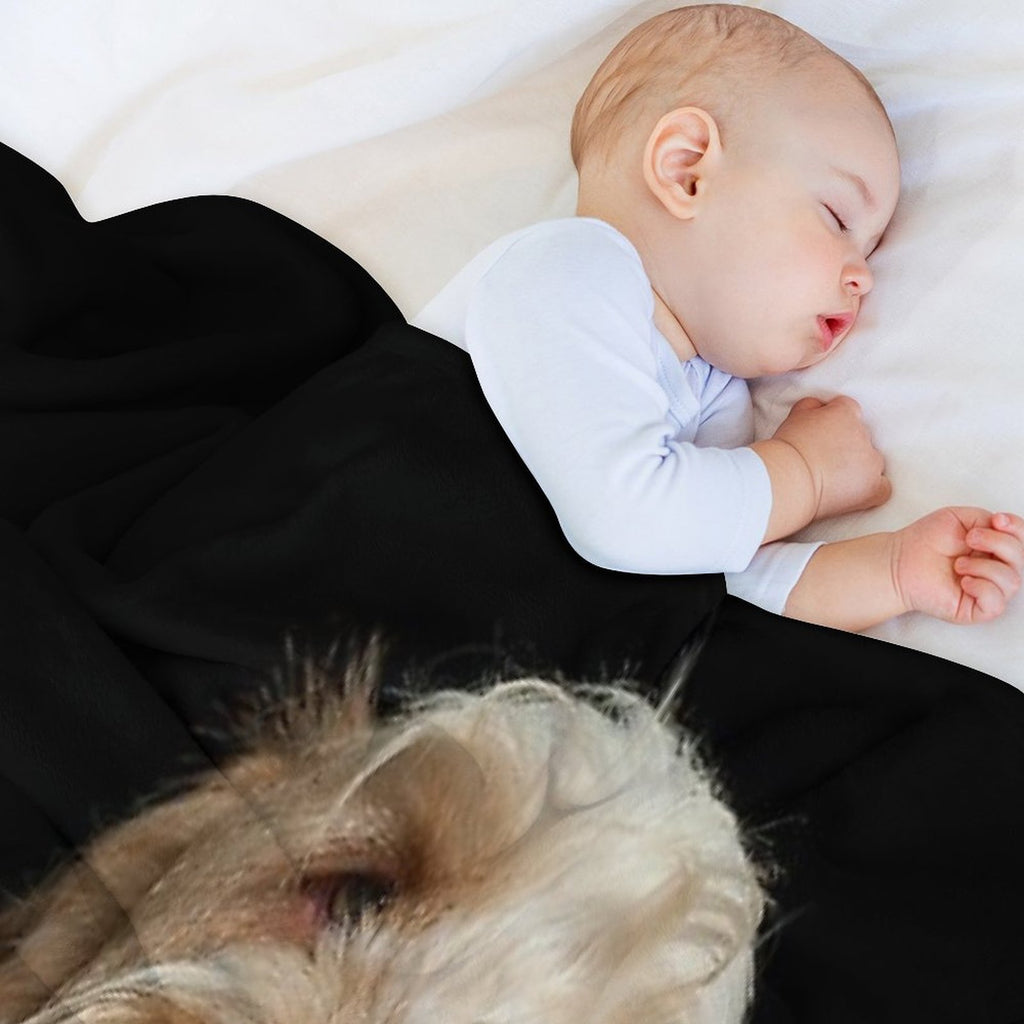 Head Tilt Spinone – Curious Gaze by Heidiannemorris © Anti-pilling Throw Blanket