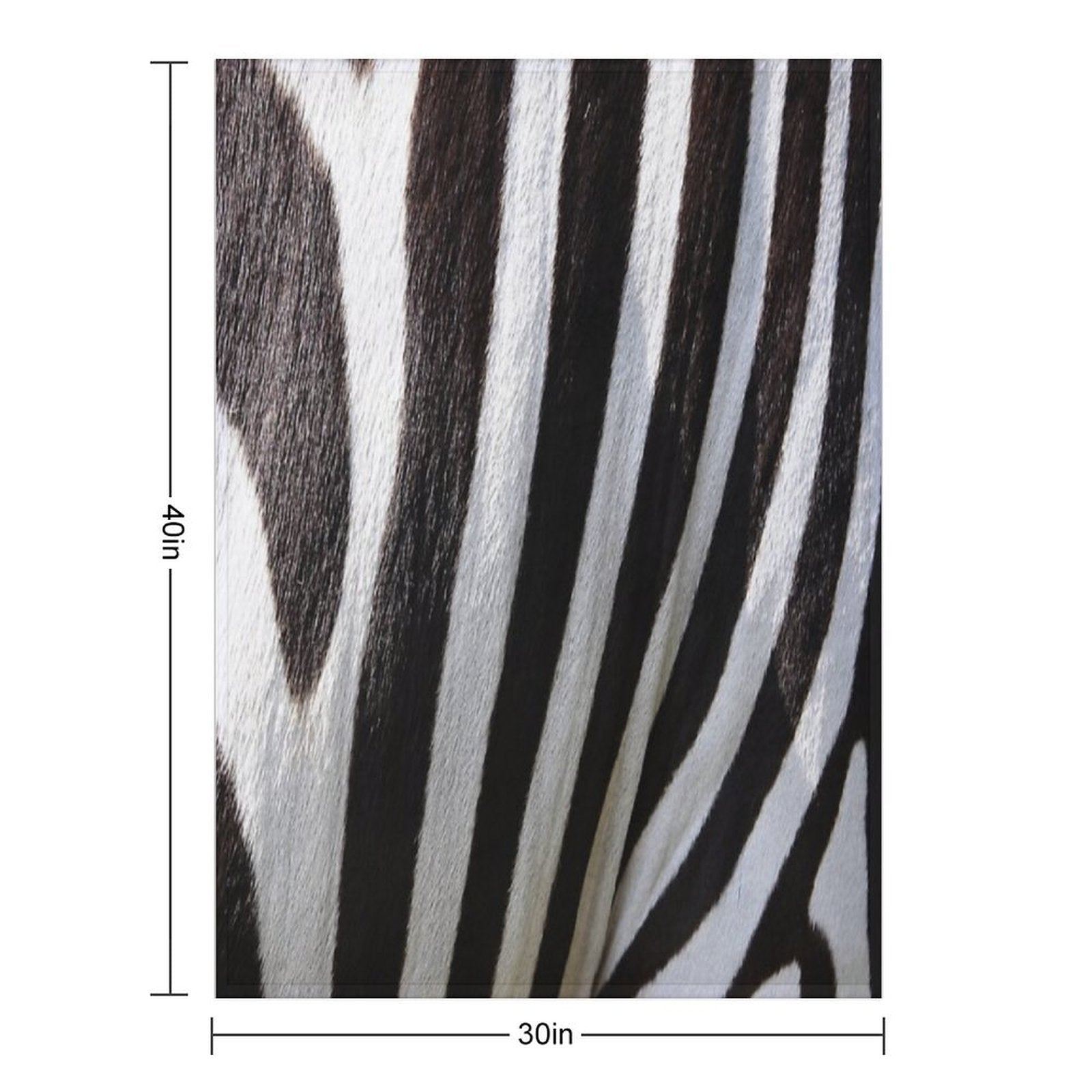 Zebra Premium Throw Blanket