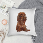 Cavalier King Charles Spaniel - Ruby Soft Shrink-Resistant Throw Pillow