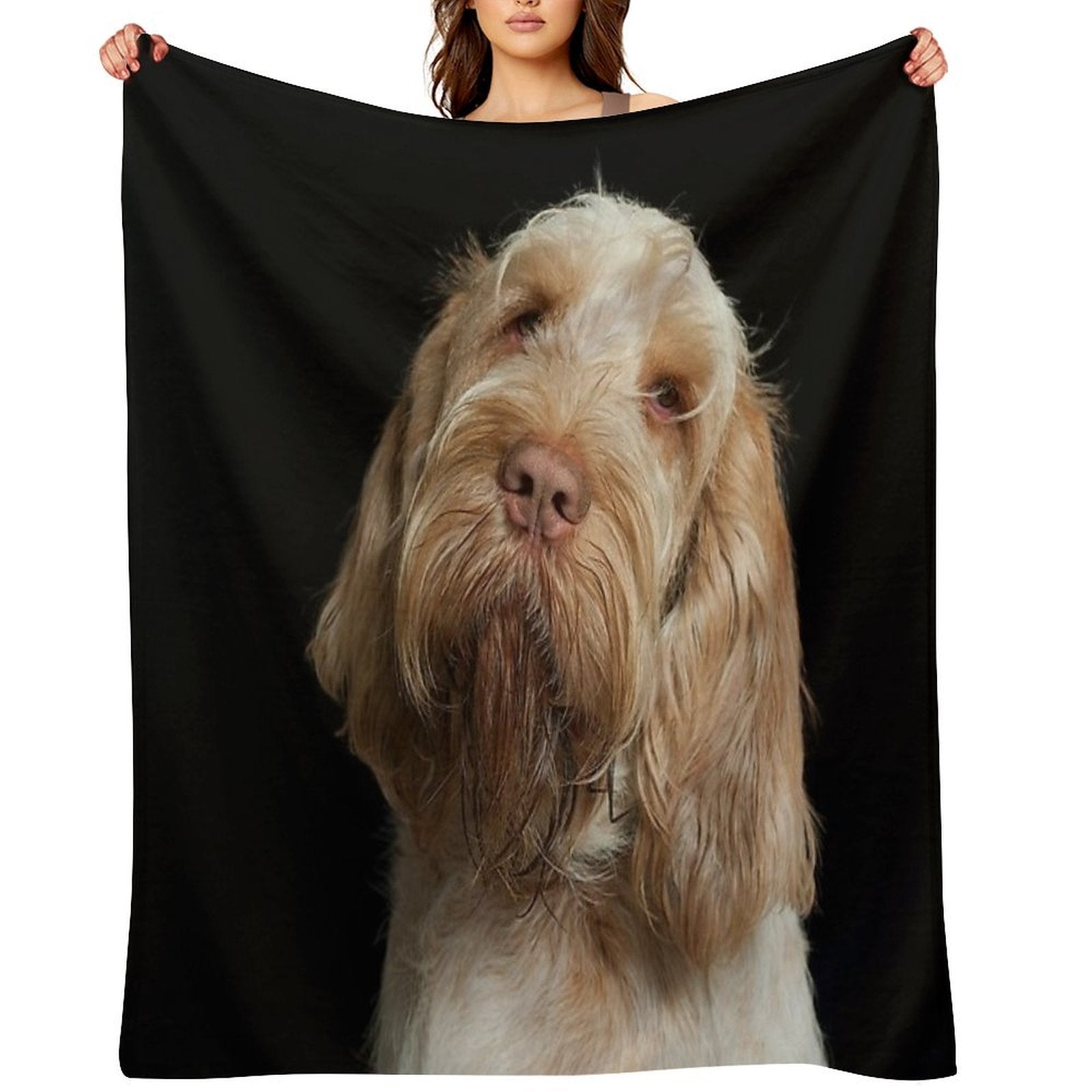 Head Tilt Spinone – Curious Gaze by Heidiannemorris © Premium Throw Blanket