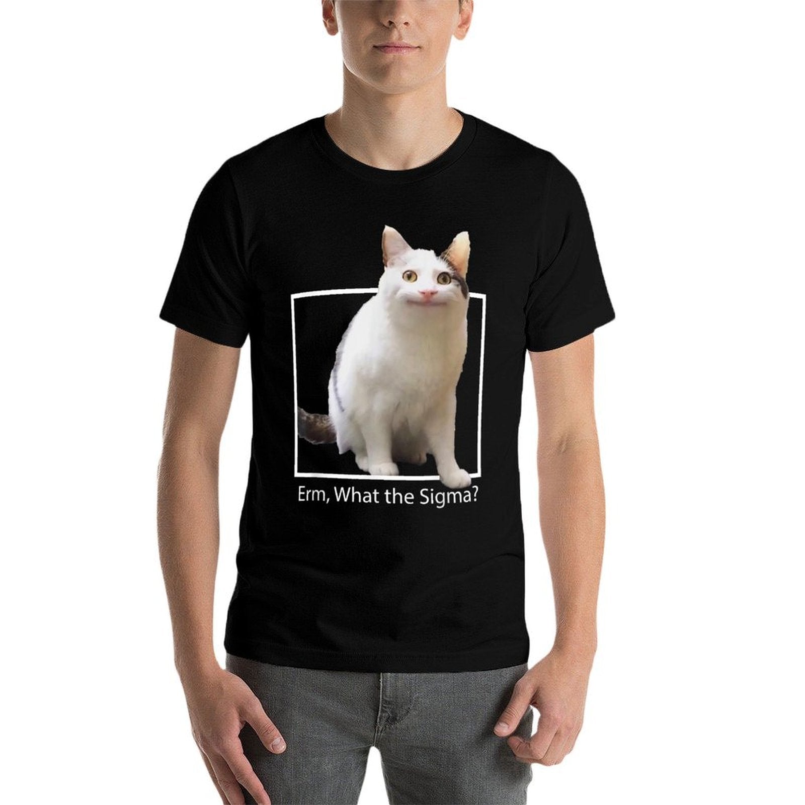 Funny Cat Meme Quote Erm What Sigma For Men Women Cool Sigma  Stretchy T-Shirt