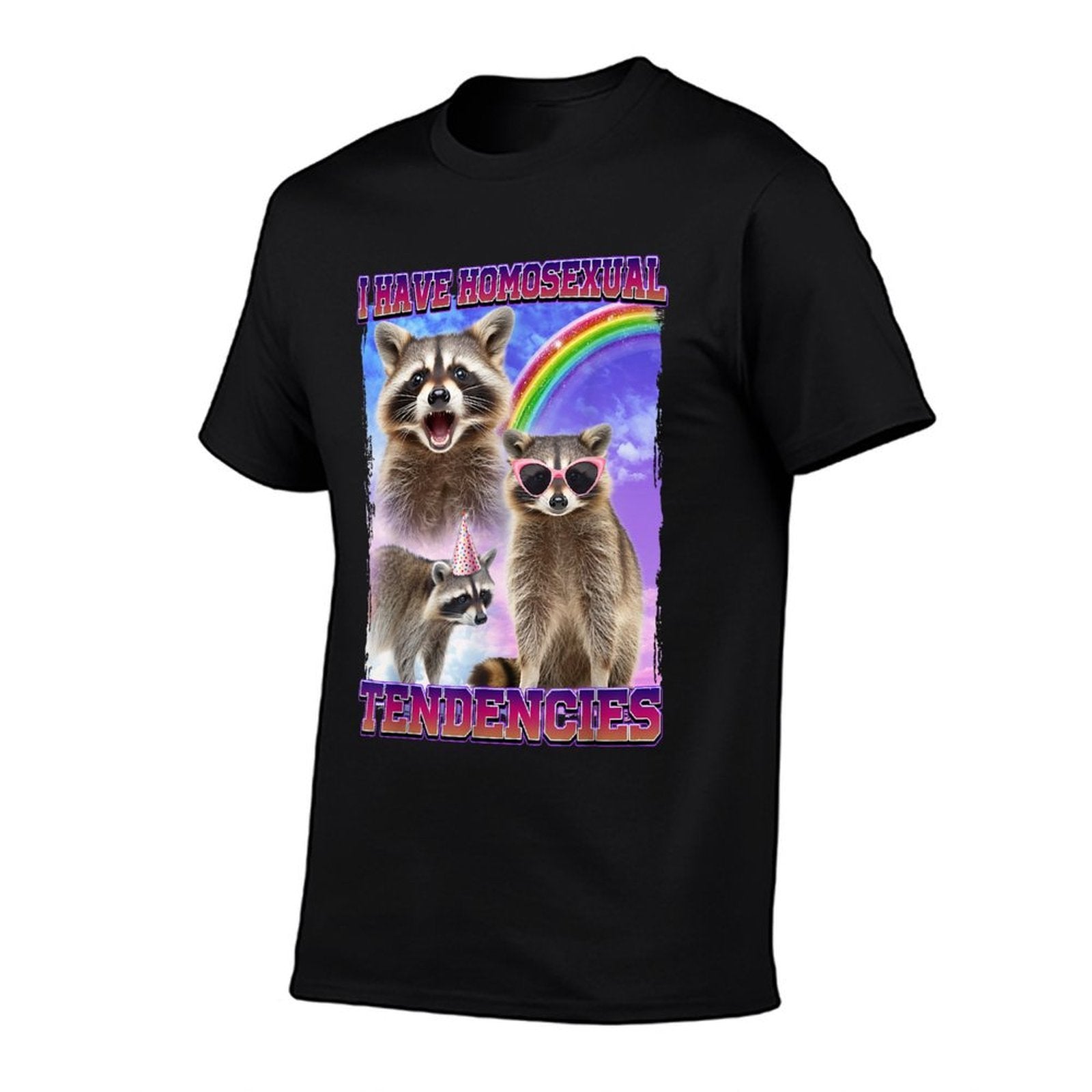 I Have Homosexual Tendencies Raccoon, Small  Lightweight T-Shirt