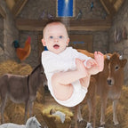 Baby Jesus In Manger Christmas Nativity Scene Premium Throw Blanket