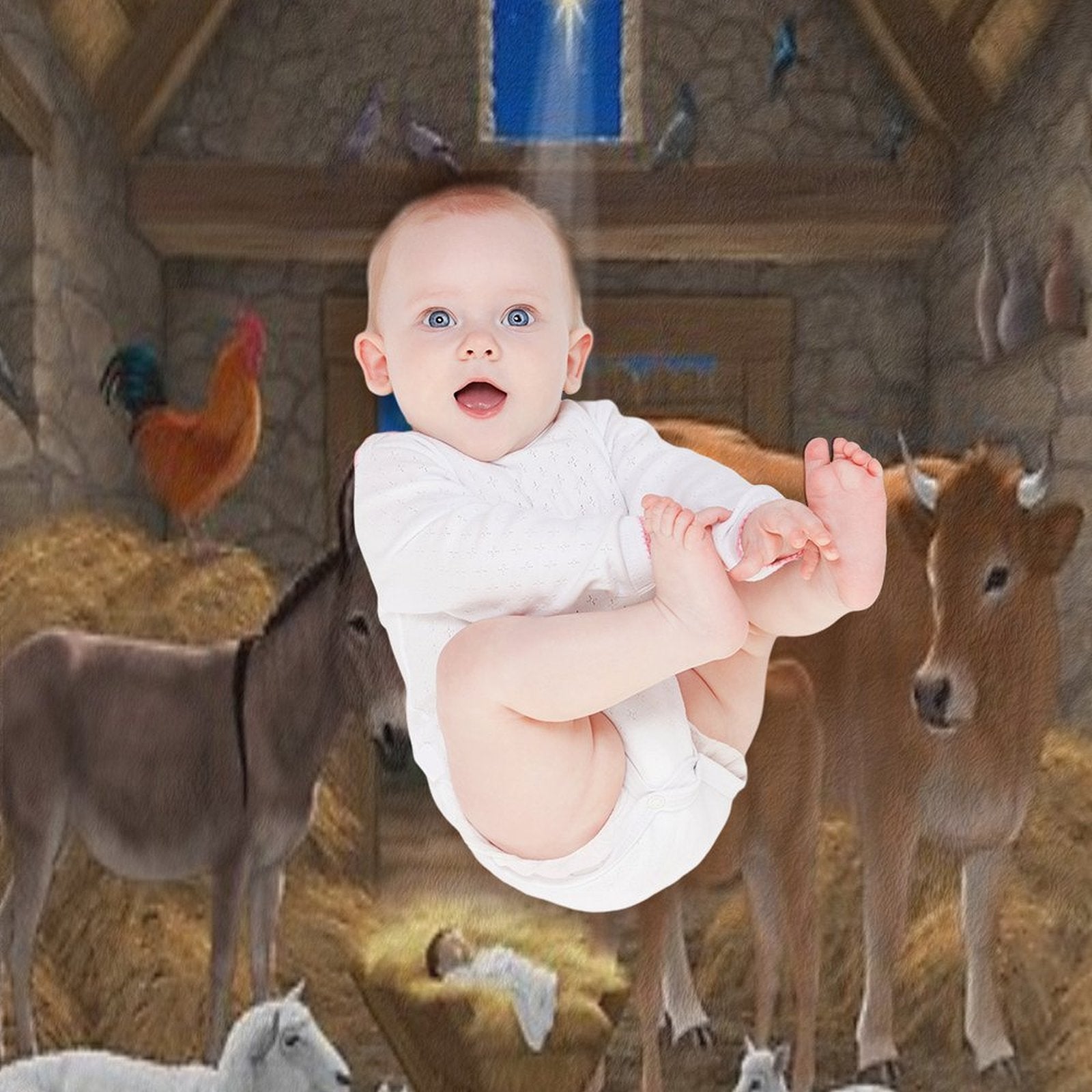 Baby Jesus In Manger Christmas Nativity Scene Premium Throw Blanket