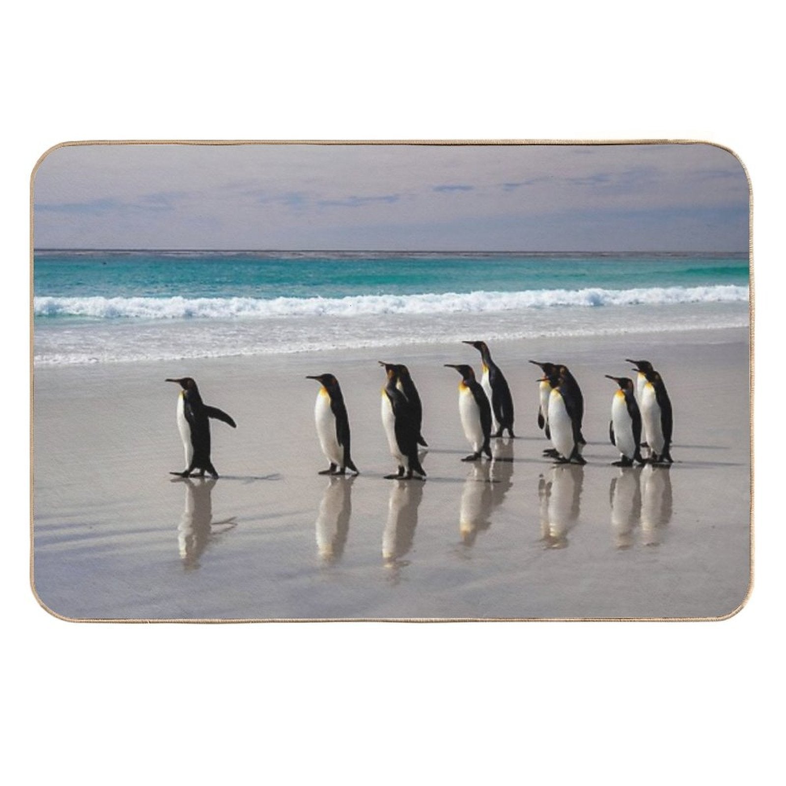 Everyone, Follow Me!..  Odorless Bath Mat