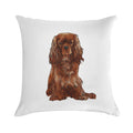 Cavalier King Charles Spaniel - Ruby Soft Shrink-Resistant Throw Pillow