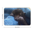 Baby Bat Blue Hugs.  Odorless Bath Mat
