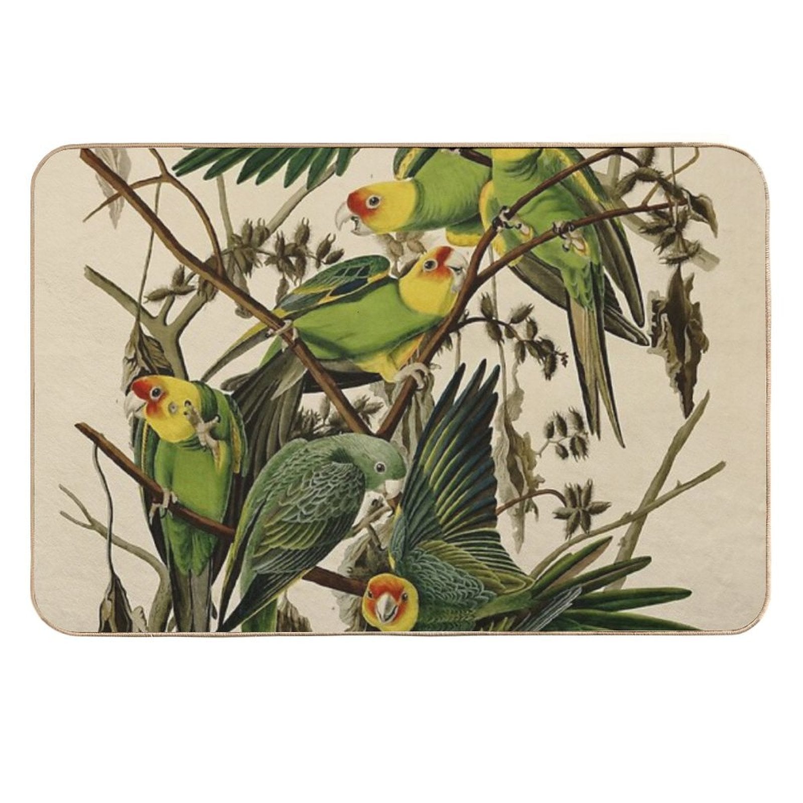Vintage Parrot Illustration  Odorless Bath Mat