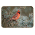 Male Northern Cardinal  Anti-Trip Bath Mat