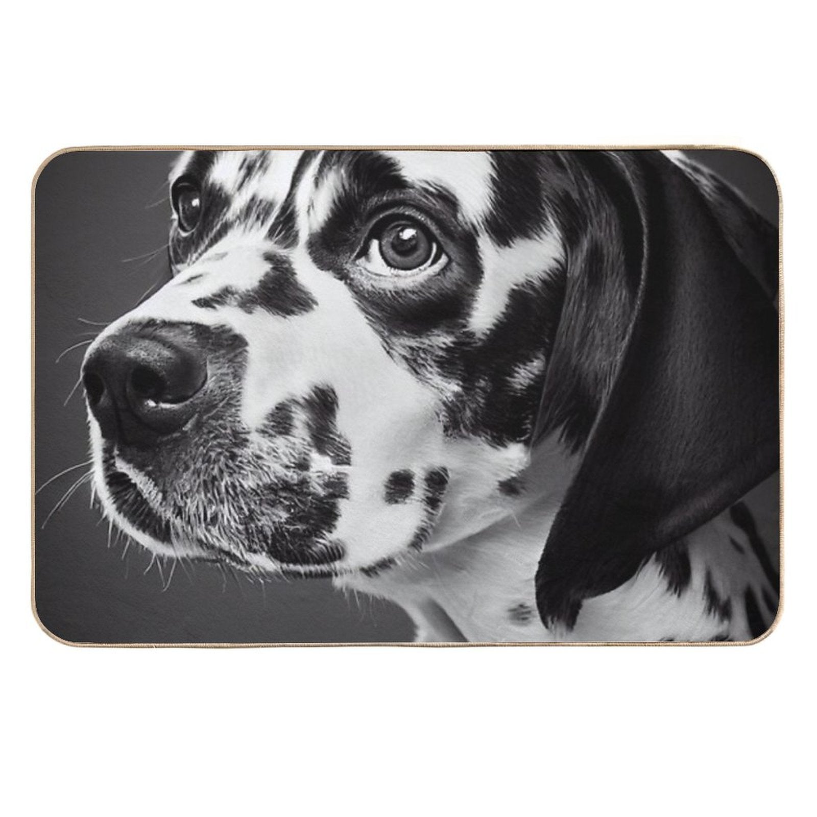 Dalmatian Dog  Easy Maintenance Bath Mat
