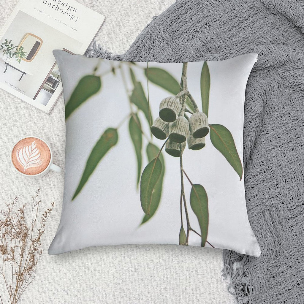 Australian Flora - Eucalyptus Gum Nuts Soft Gift Ready Throw Pillow