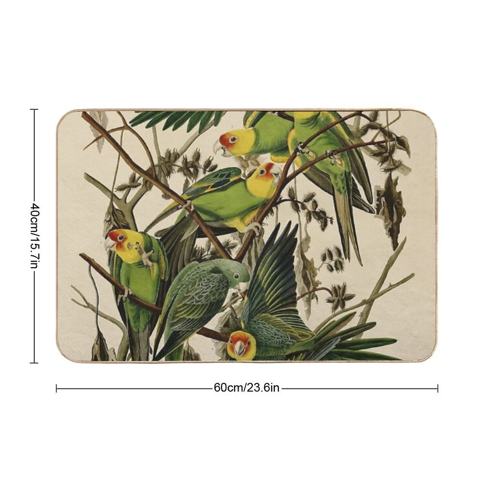 Vintage Parrot Illustration  Odorless Bath Mat