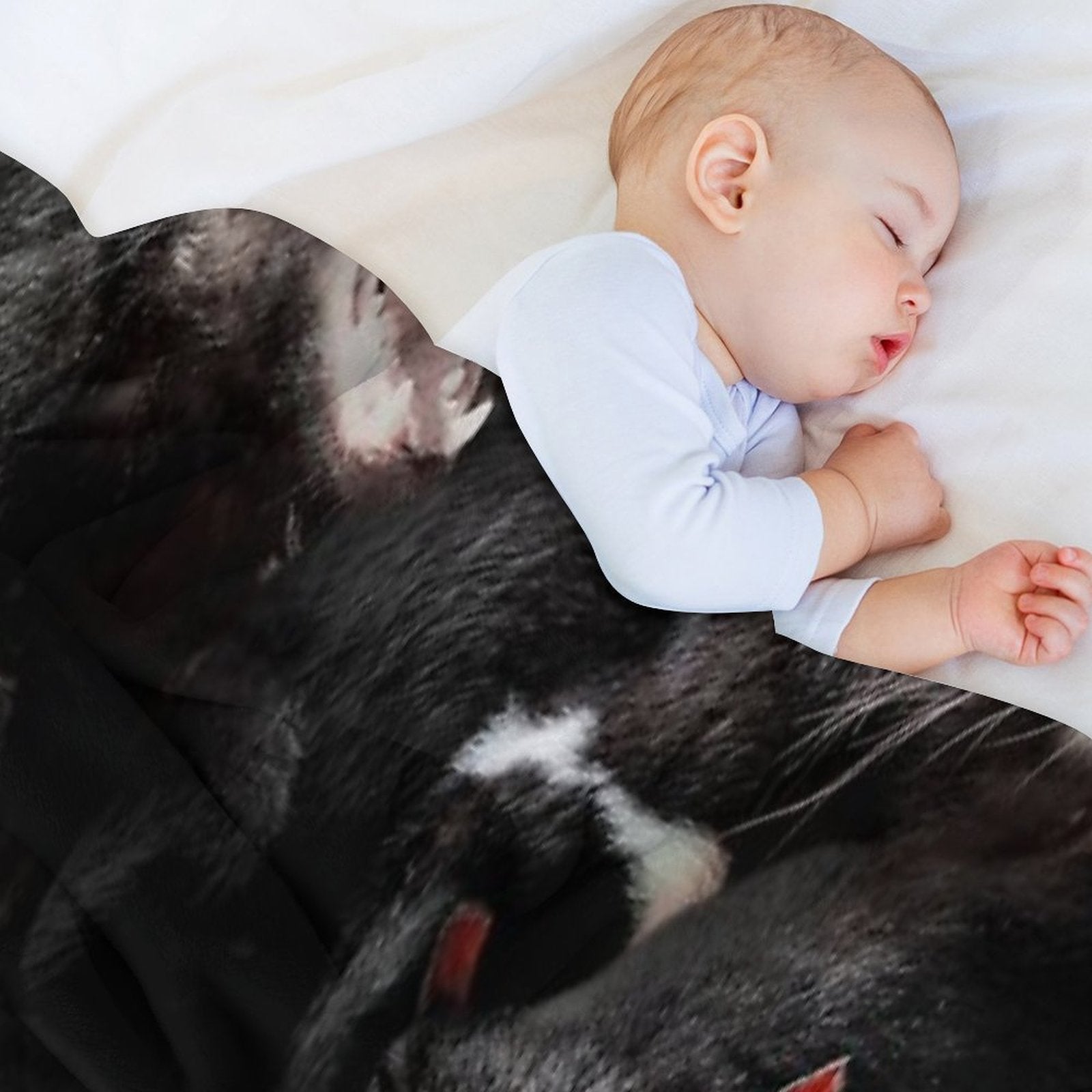 Tasmanian Devils Quick-dry Throw Blanket