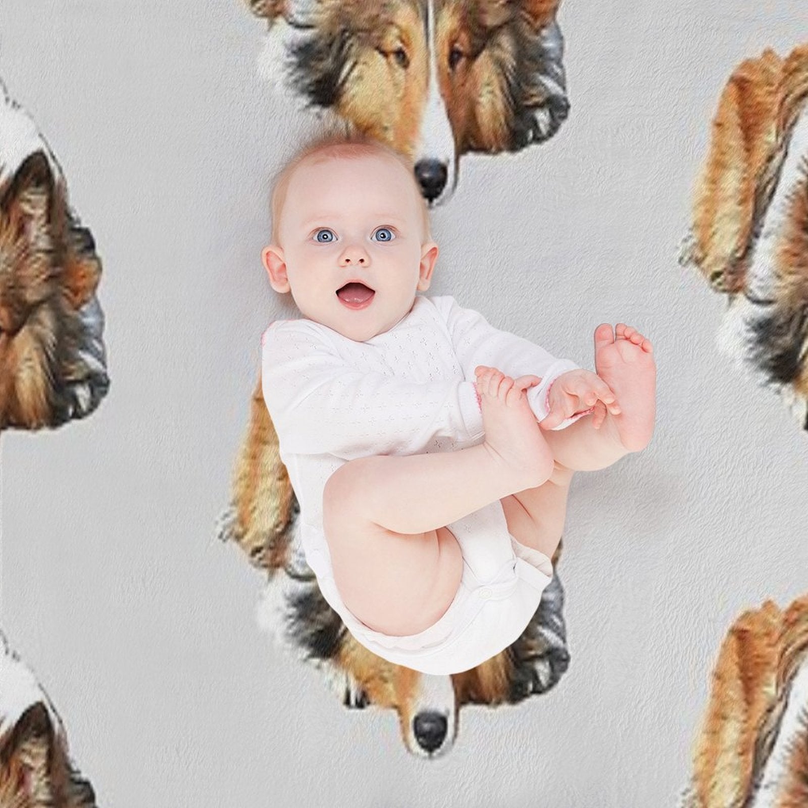 Rough Collie All-season Throw Blanket