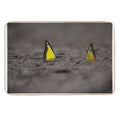 This Image Captures A Brightly Colored Butterfly Settled on Rugged Terrain, Offering A Striking Contrast Between Fragility And R  Versatile Bath Mat