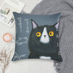 Maths Cat Soft Anti-Pilling Throw Pillow