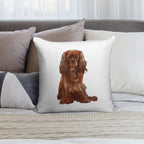 Cavalier King Charles Spaniel - Ruby Soft Shrink-Resistant Throw Pillow