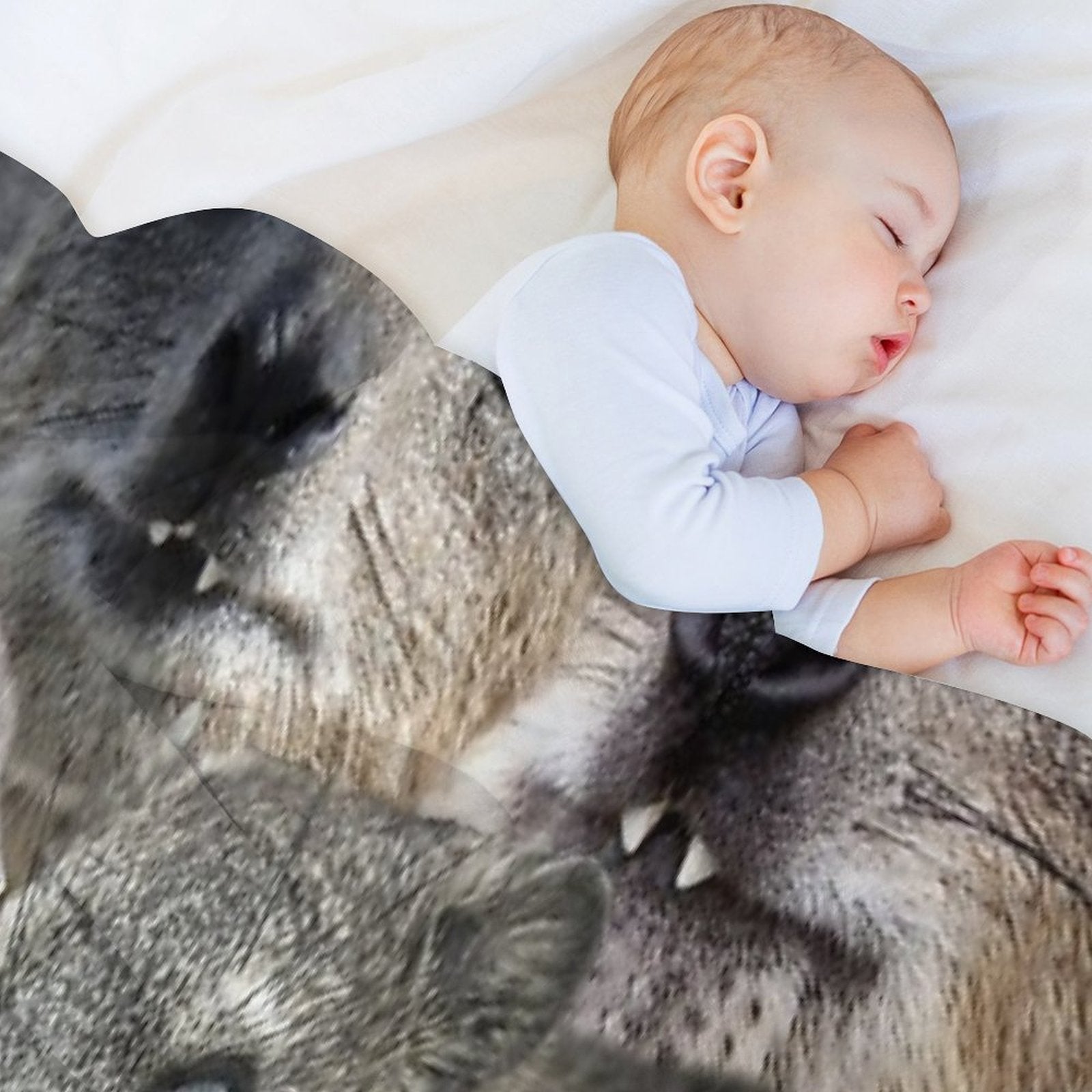 A LOT of Rock Hyrax Here Shrink-resistant Throw Blanket