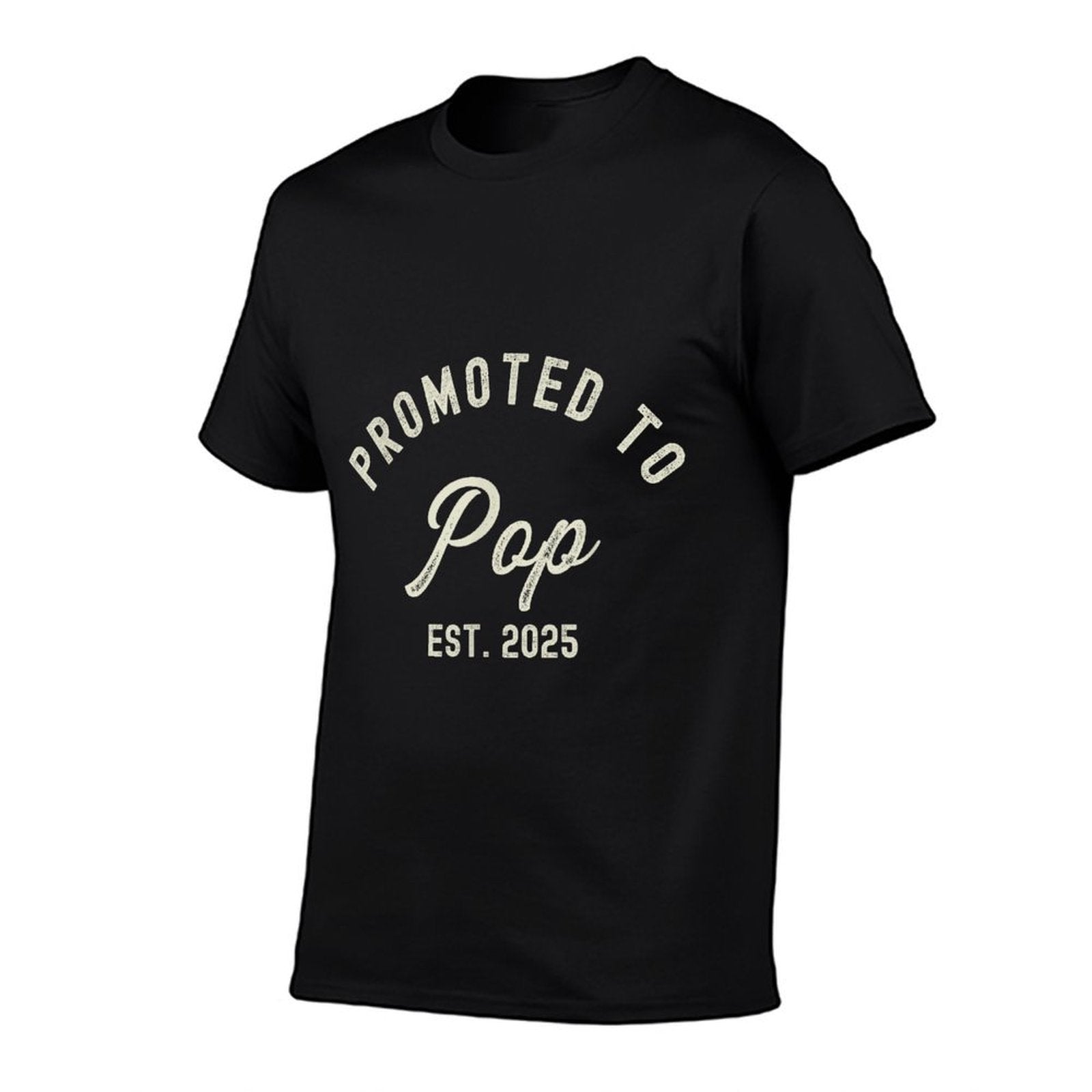 Promoted To Pop Est 2025 Fathers Day First Time Grandad  Affordable Price T-Shirt