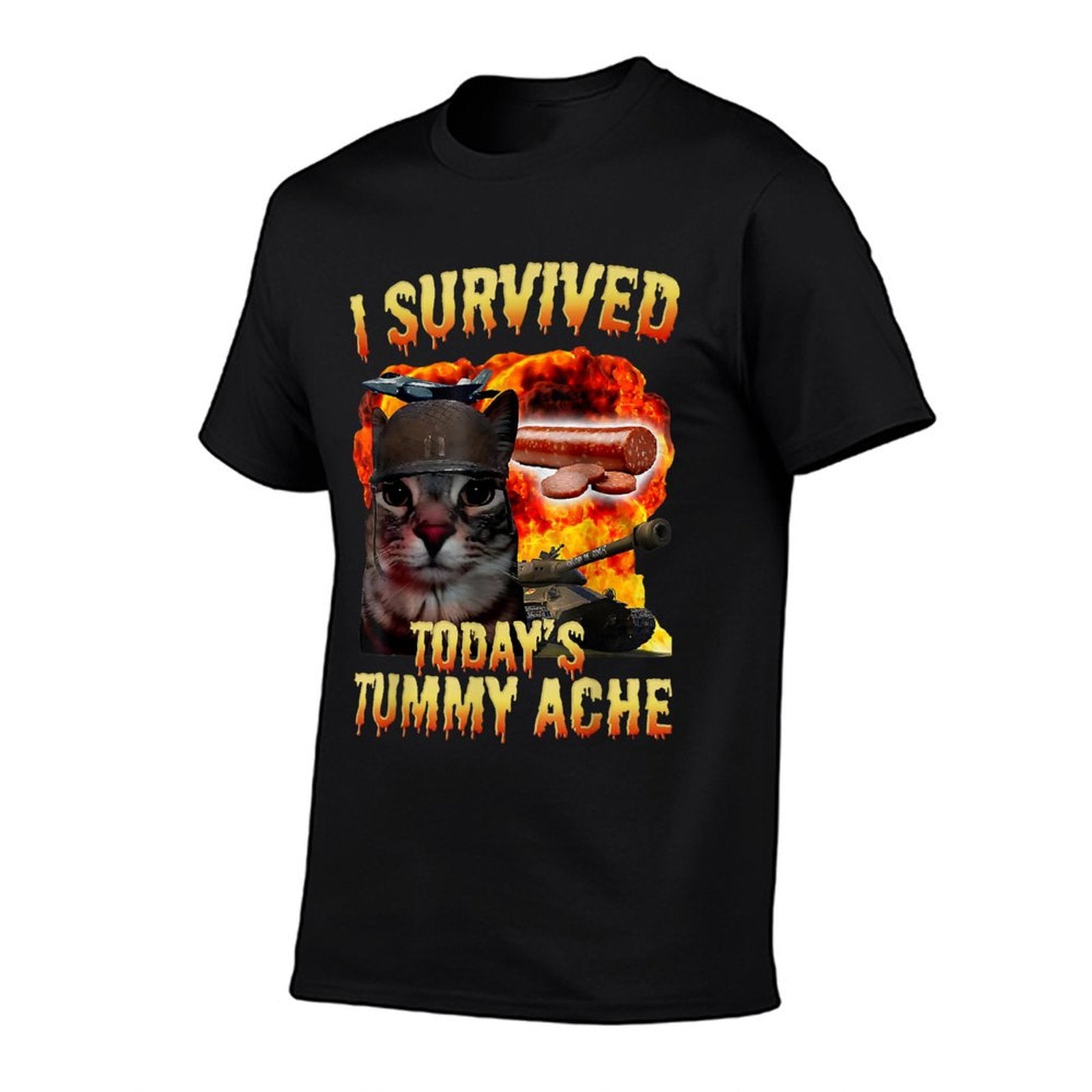 Tummy Ache Survivor Cat Meme Funny Saying Cats Animals Men Women Kids  Durable T-Shirt