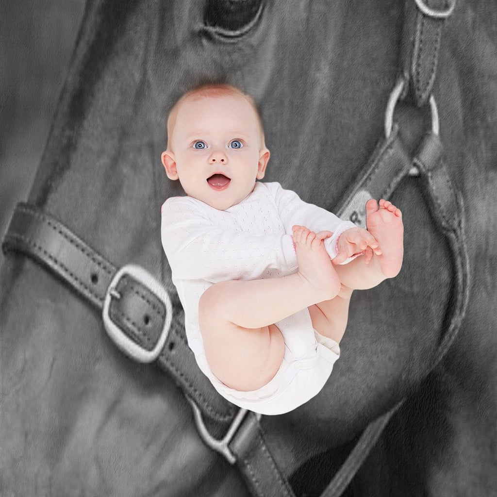 Winx - Farewell to A Champion Anti-pilling Throw Blanket