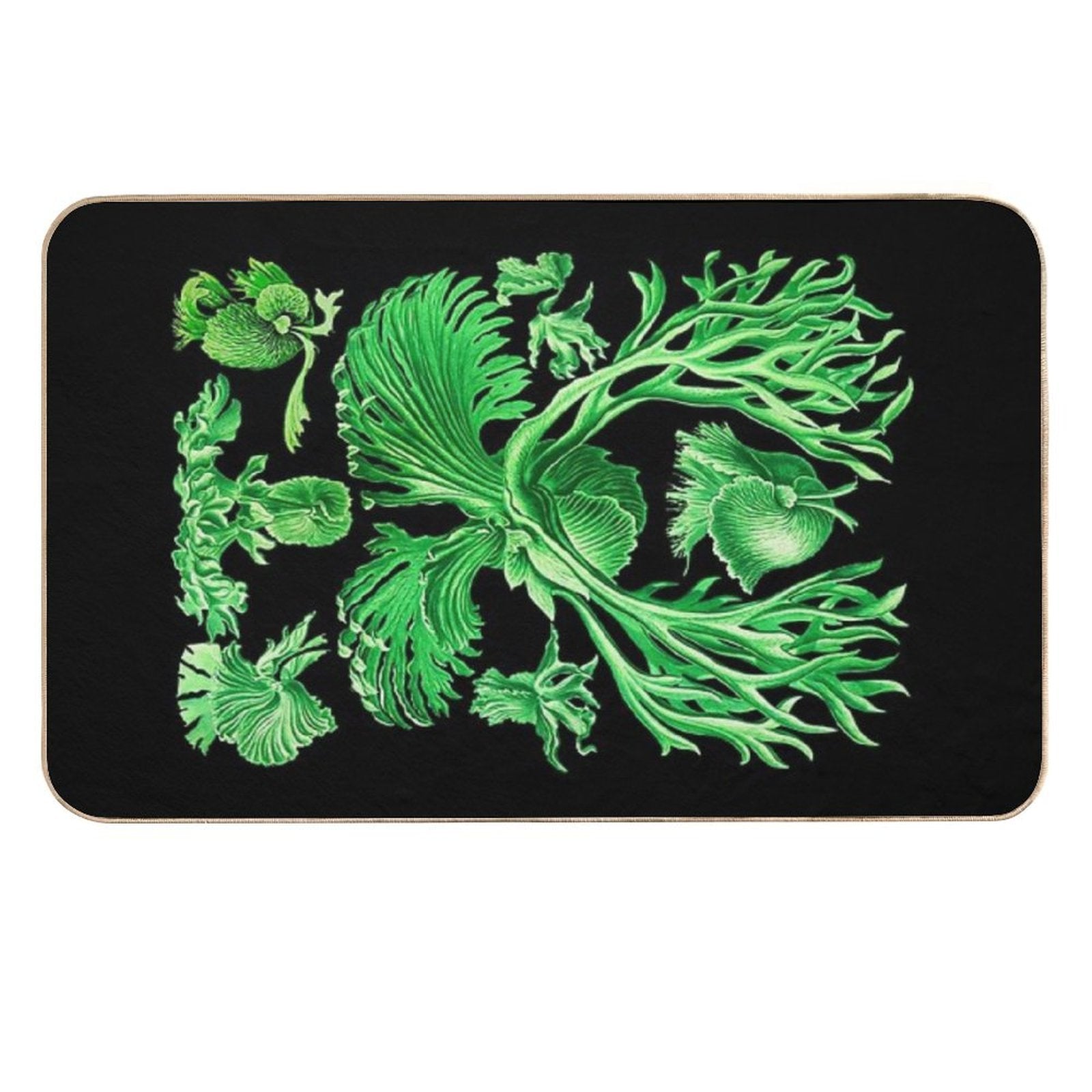 Plate 52. Platycerium Grande; The Staghorn, Or Elkhorn, Fern  Rapid-Drying Bath Mat