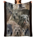 A LOT of Rock Hyrax Here Shrink-resistant Throw Blanket
