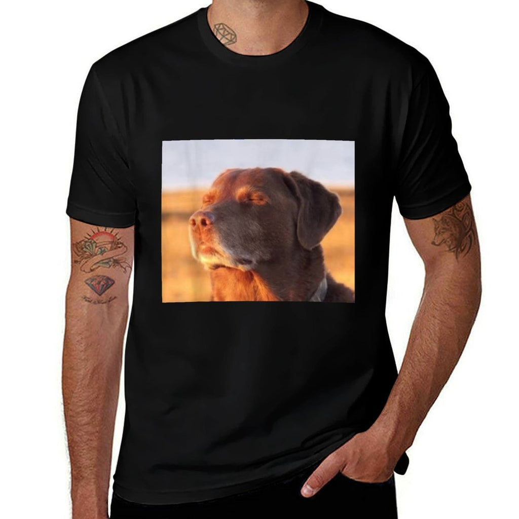 Let Me Know Ahh Funny Meme  Moisture-wicking T-Shirt