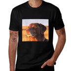 Let Me Know Ahh Funny Meme  Moisture-wicking T-Shirt