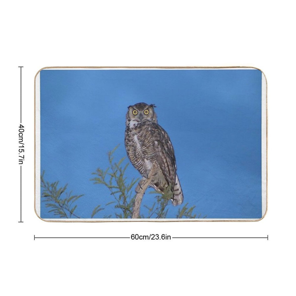 Beautiful Wise Owl  Slip-Resistant Bath Mat