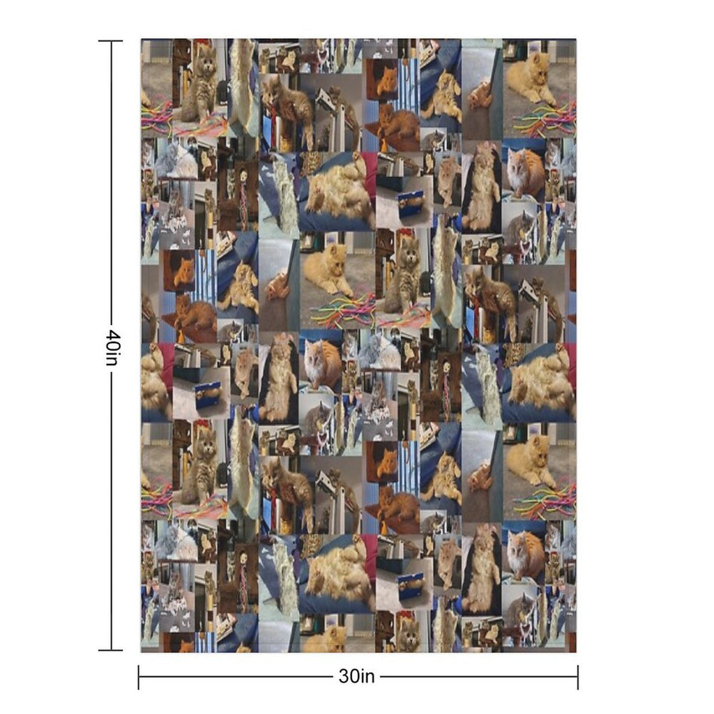 Playful Whiskers A Photo Collage of Brown And Fawn Fluffy Kittens Machine-washable Throw Blanket
