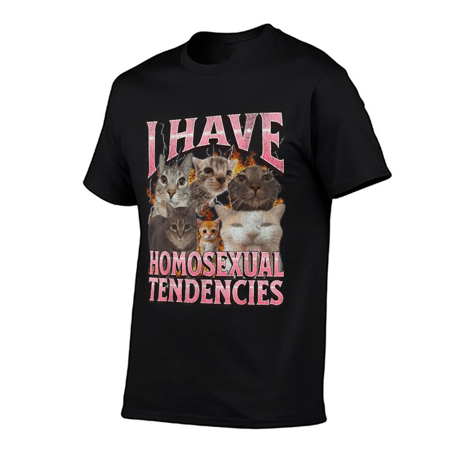 I Have Homosexual Tendencies Funny Cat Meme Bootleg Graphic  Ribbed Collar T-Shirt