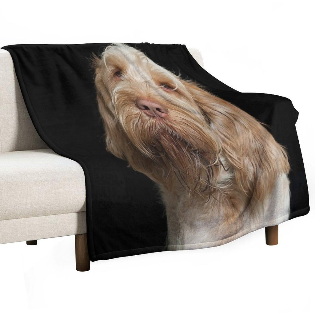 Head Tilt Spinone – Curious Gaze by Heidiannemorris © Anti-pilling Throw Blanket