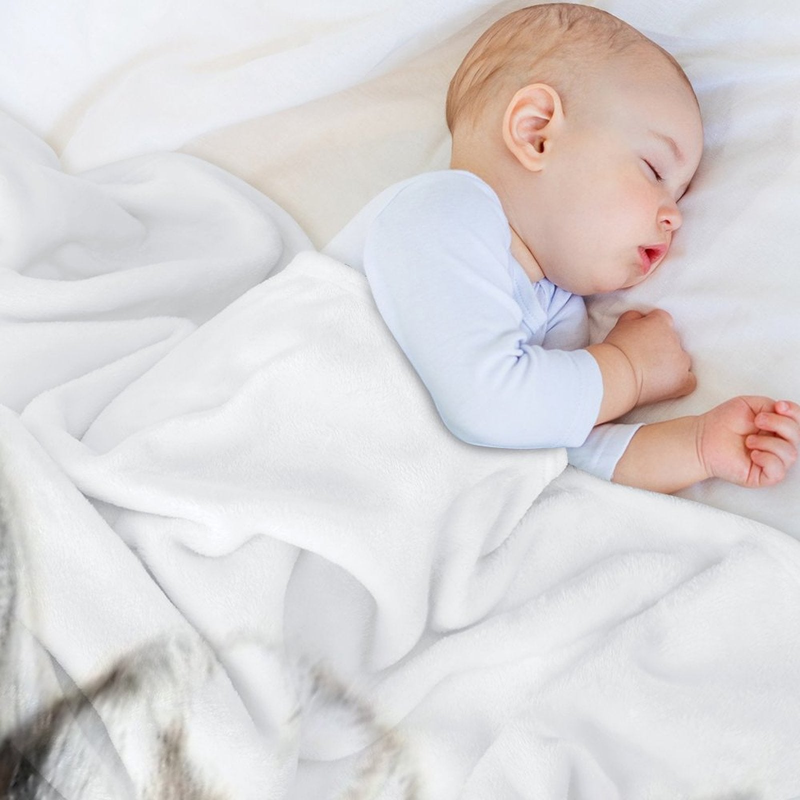 Little Goat, Animal, Cute Animal Wrinkle-free Throw Blanket