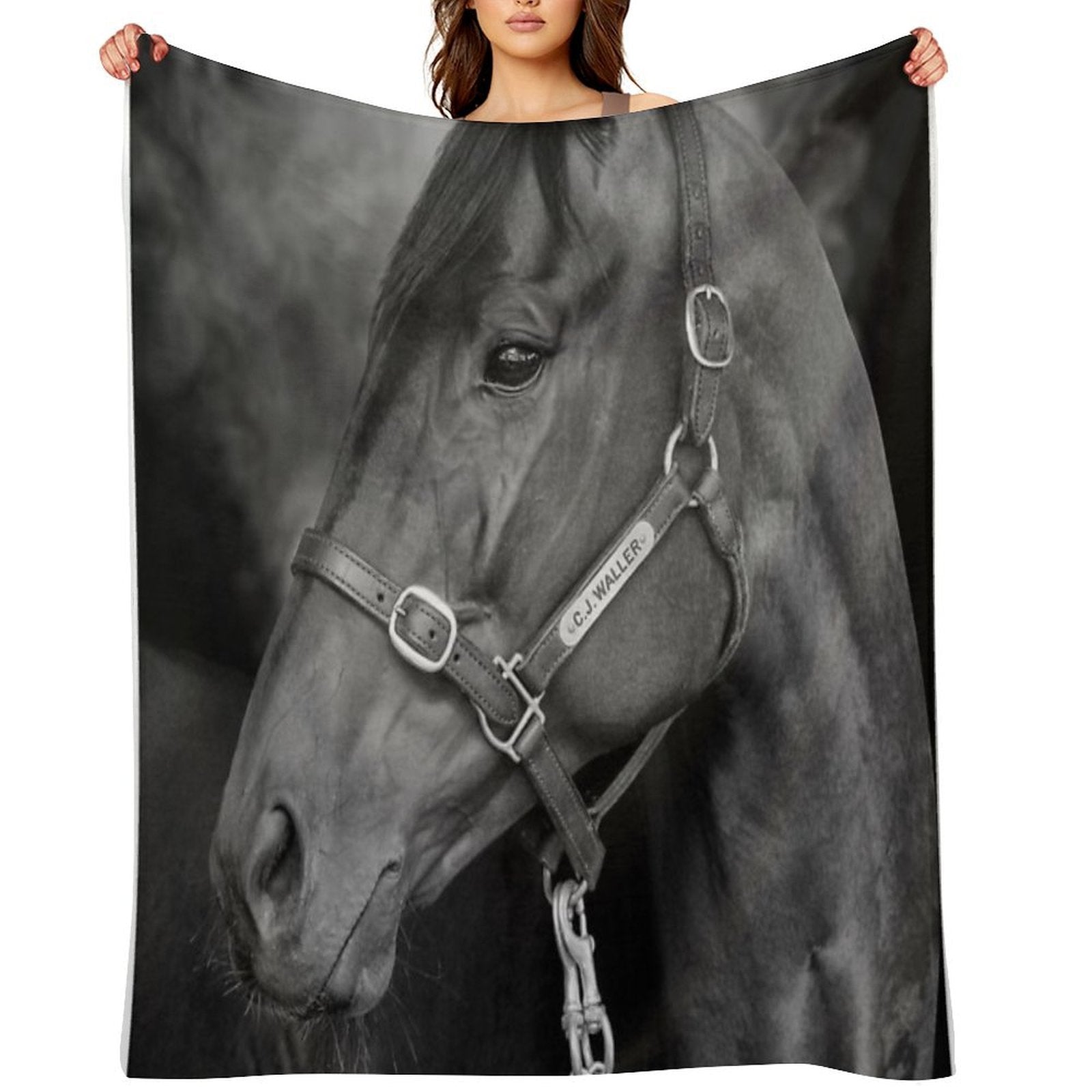 Winx - Farewell to A Champion Anti-pilling Throw Blanket