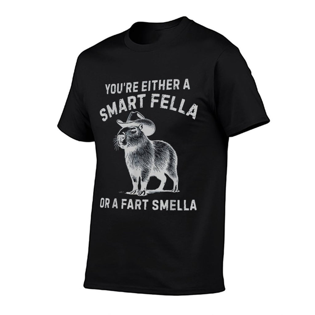 Youre Either A Smart Fella Or A Fart Smella Funny Sarcastic  Affordable Price T-Shirt