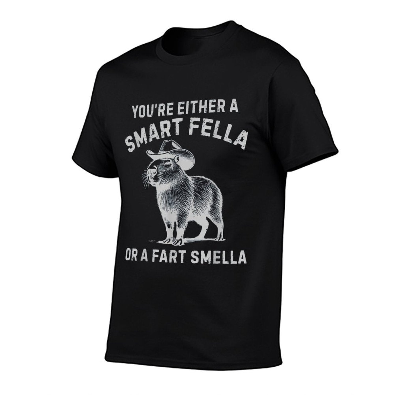 Youre Either A Smart Fella Or A Fart Smella Funny Sarcastic  Affordable Price T-Shirt