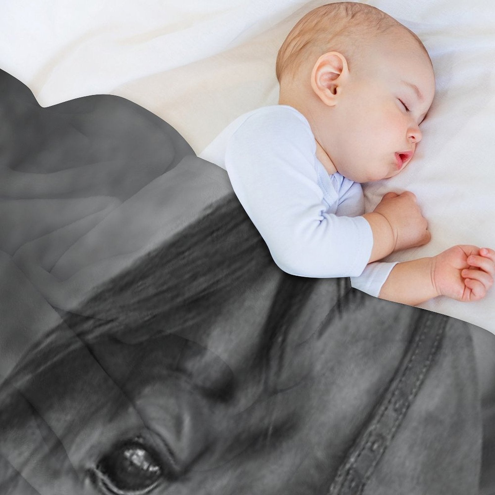 Winx - Farewell to A Champion Anti-pilling Throw Blanket